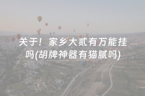 关于！家乡大贰有万能挂吗(胡牌神器有猫腻吗)