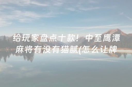 给玩家盘点十款！中至鹰潭麻将有没有猫腻(怎么让牌更好)
