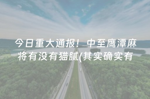 实测结果“微乐麻将外挂（助赢神器通用版）