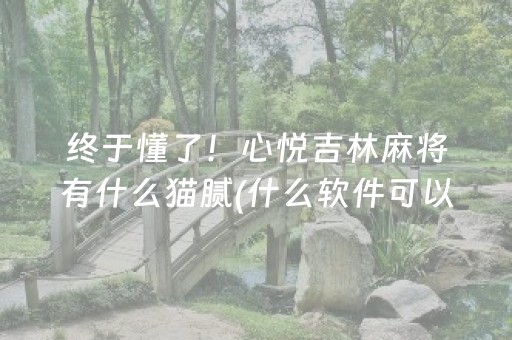 终于懂了！心悦吉林麻将有什么猫腻(什么软件可以赢)