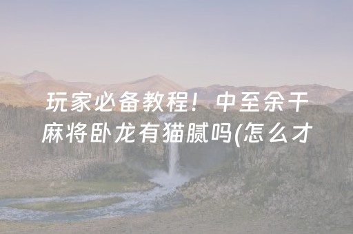 玩家必备教程！中至余干麻将卧龙有猫腻吗(怎么才能调胜率)