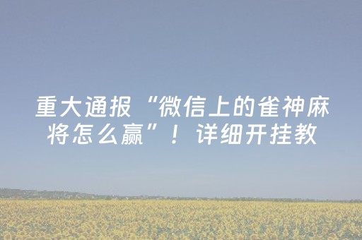 重大通报“微信上的雀神麻将怎么赢”！详细开挂教程（确实真的有挂)-抖音