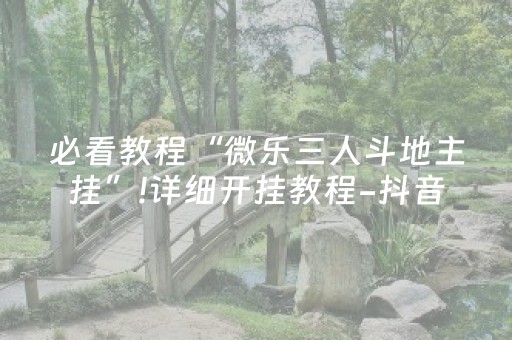 必看教程“微乐三人斗地主挂”!详细开挂教程-抖音