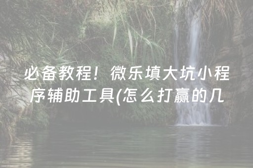 必备教程！微乐填大坑小程序辅助工具(怎么打赢的几率大)