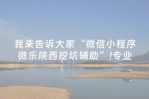 我来告诉大家“微信小程序微乐陕西挖坑辅助”!专业师傅带你一起了解（详细教程）-抖音