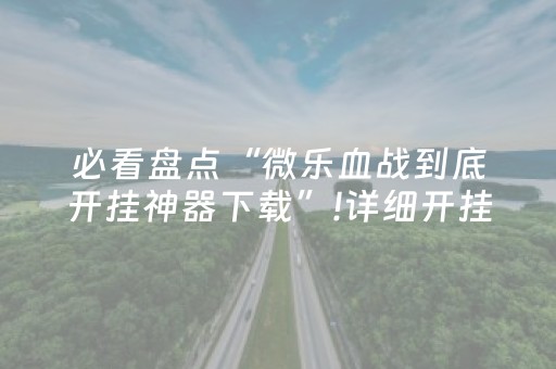 必看盘点“微乐血战到底开挂神器下载”!详细开挂教程-抖音