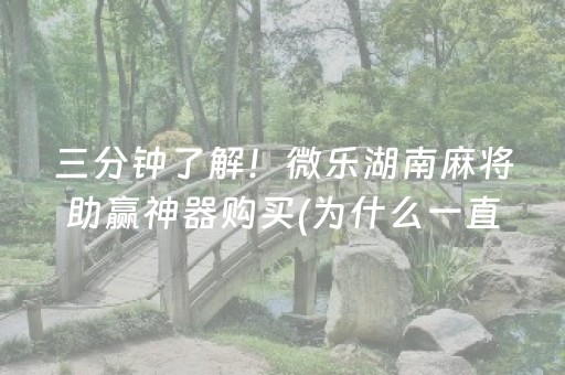 三分钟了解！微乐湖南麻将助赢神器购买(为什么一直输)