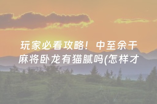 玩家必看攻略！中至余干麻将卧龙有猫腻吗(怎样才能有好牌)