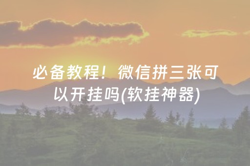 必备教程！微信拼三张可以开挂吗(软挂神器)