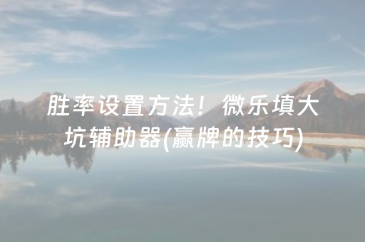胜率设置方法！微乐填大坑辅助器(赢牌的技巧)