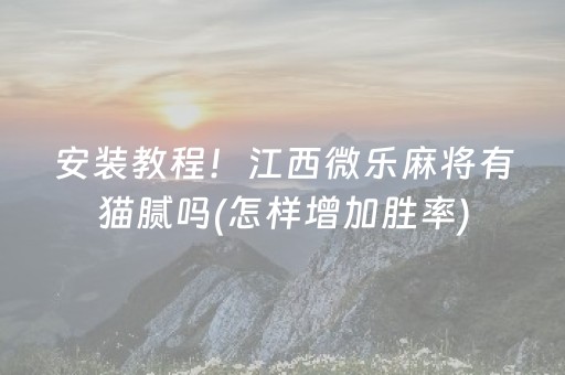 安装教程！江西微乐麻将有猫腻吗(怎样增加胜率)