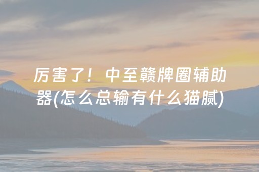 厉害了！中至赣牌圈辅助器(怎么总输有什么猫腻)
