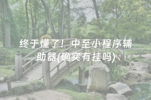 终于懂了！中至小程序辅助器(确实有挂吗)