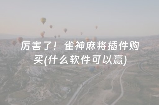厉害了！雀神麻将插件购买(什么软件可以赢)
