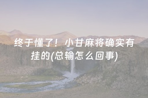 终于懂了！小甘麻将确实有挂的(总输怎么回事)