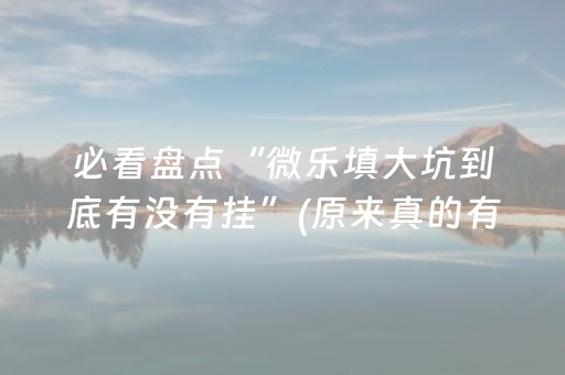 必看盘点“微乐填大坑到底有没有挂”(原来真的有挂)-抖音