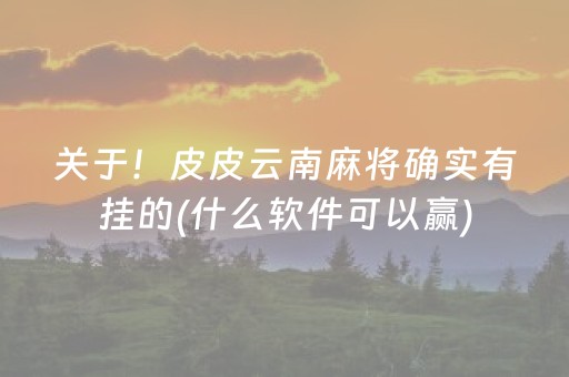关于！皮皮云南麻将确实有挂的(什么软件可以赢)