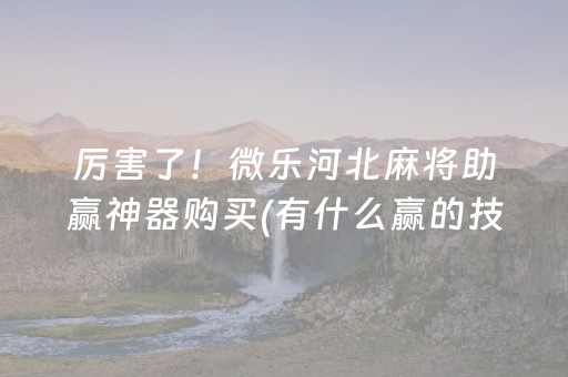 厉害了！微乐河北麻将助赢神器购买(有什么赢的技巧)