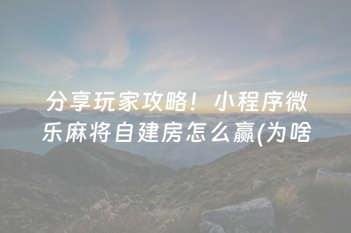 玩家实测“手机麻将软挂神器（助赢神器通用版）