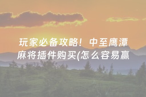 玩家必备攻略！中至鹰潭麻将插件购买(怎么容易赢)