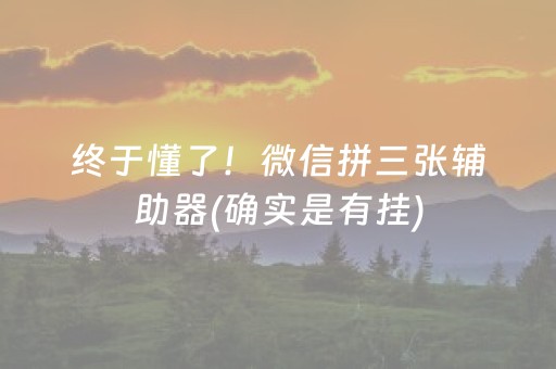 终于懂了！微信拼三张辅助器(确实是有挂)