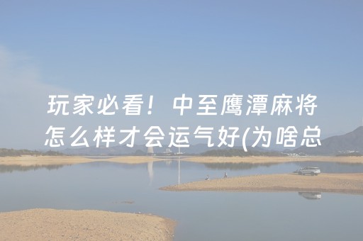 玩家必看！中至鹰潭麻将怎么样才会运气好(为啥总是输)