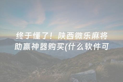 终于懂了！陕西微乐麻将助赢神器购买(什么软件可以赢)