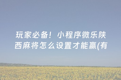 玩家必备！小程序微乐陕西麻将怎么设置才能赢(有挂技巧辅助器)