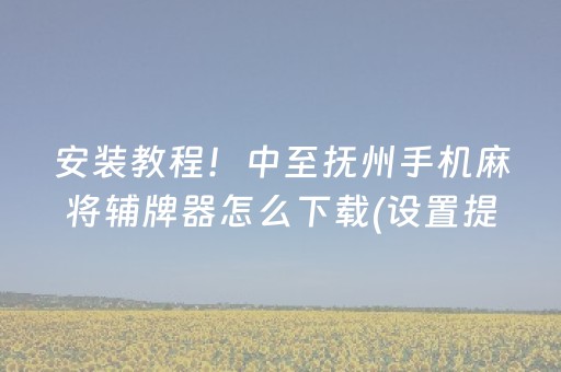 安装教程！中至抚州手机麻将辅牌器怎么下载(设置提高好牌几率)