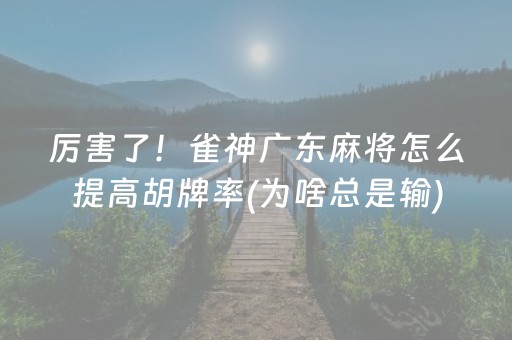 厉害了！雀神广东麻将怎么提高胡牌率(为啥总是输)