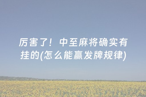 厉害了！中至麻将确实有挂的(怎么能赢发牌规律)