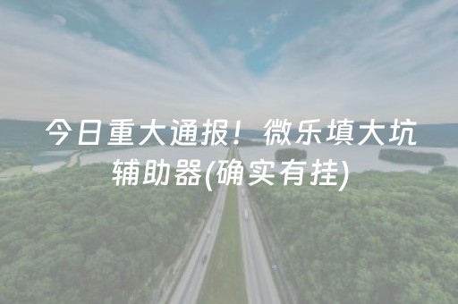 今日重大通报！微乐填大坑辅助器(确实有挂)