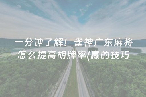 一分钟了解！雀神广东麻将怎么提高胡牌率(赢的技巧系统规律)