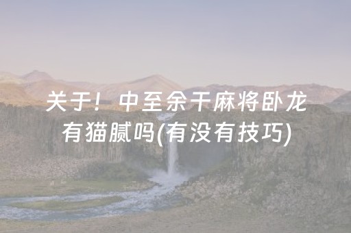 关于！中至余干麻将卧龙有猫腻吗(有没有技巧)