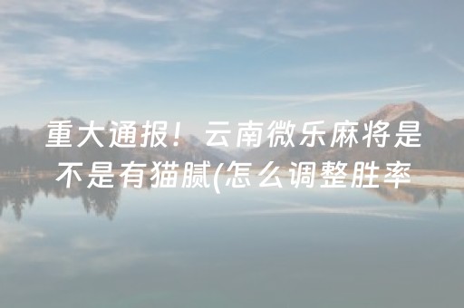重大通报！云南微乐麻将是不是有猫腻(怎么调整胜率)