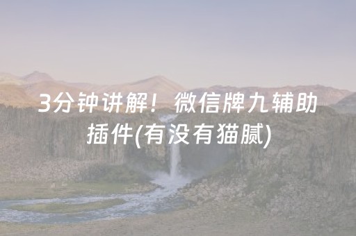 3分钟讲解！微信牌九辅助插件(有没有猫腻)