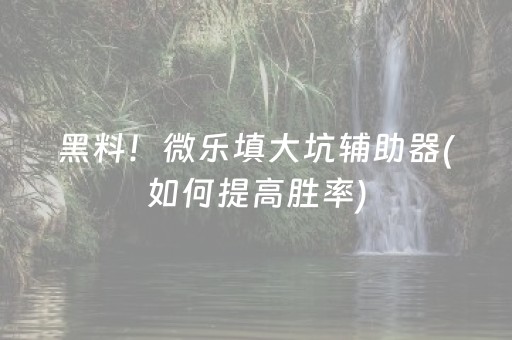 黑料！微乐填大坑辅助器(如何提高胜率)