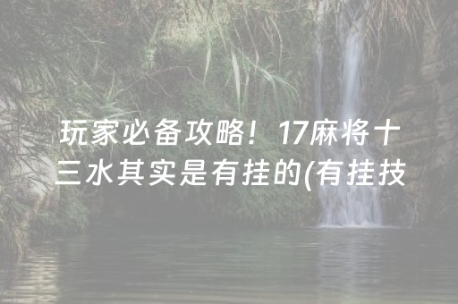 玩家必备攻略！17麻将十三水其实是有挂的(有挂技巧辅助器)