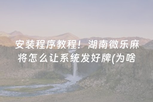 安装程序教程！湖南微乐麻将怎么让系统发好牌(为啥我总是输)