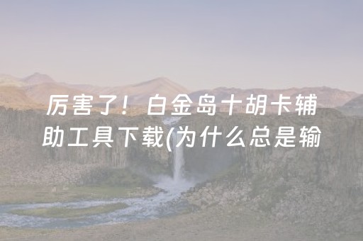 厉害了！白金岛十胡卡辅助工具下载(为什么总是输)