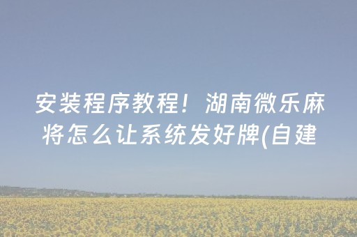 玩家必备教程“微乐湖南红中麻将输赢规律（专用辅牌神器免安装）