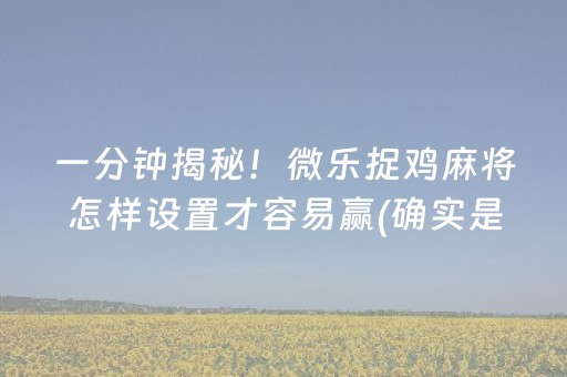 实测结果“多乐跑胡子辅助（专用辅牌神器免安装）