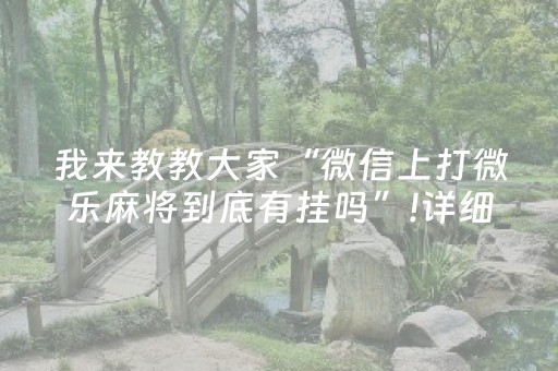 实测教程“微乐吉林麻将助手神器装”（详细透视教程）-哔哩哔哩