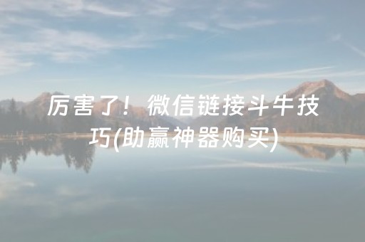 厉害了！微信链接斗牛技巧(助赢神器购买)
