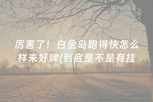 厉害了！白金岛跑得快怎么样来好牌(到底是不是有挂)