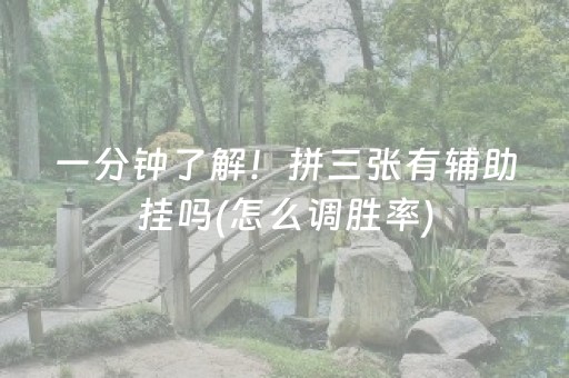 玩家实测“微乐安徽麻将专用神器（助赢神器通用版）