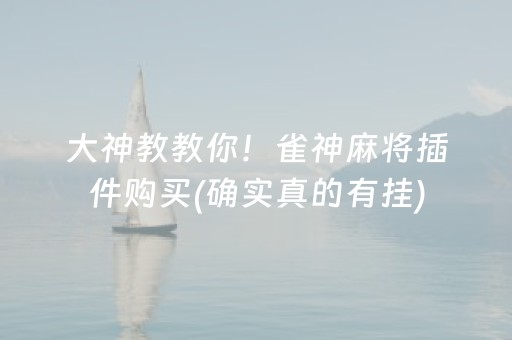 教程辅助“普通麻将机助赢神器（助赢神器通用版）