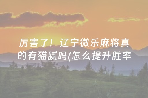 厉害了！辽宁微乐麻将真的有猫腻吗(怎么提升胜率)