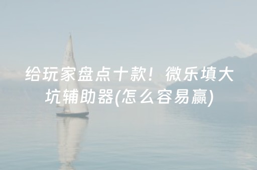 给玩家盘点十款！微乐填大坑辅助器(怎么容易赢)