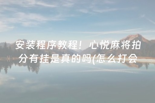 安装程序教程！心悦麻将拍分有挂是真的吗(怎么打会赢)